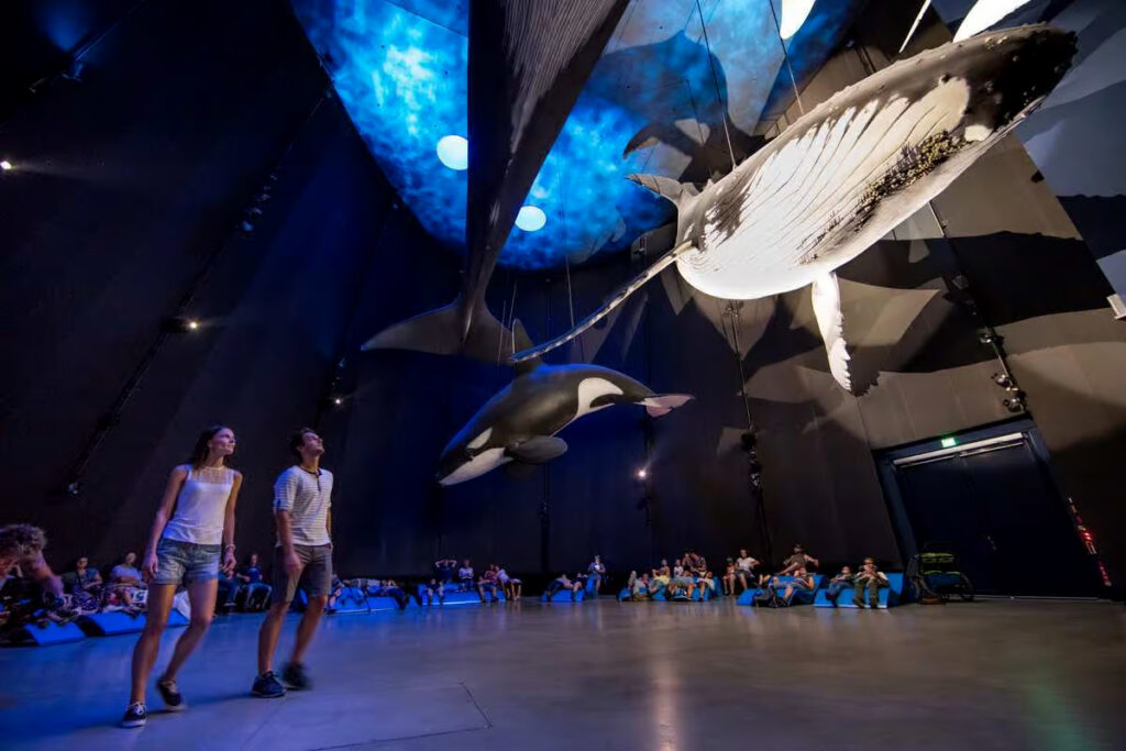 Oceanarium Stralsund